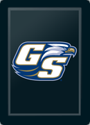 Georgia Southern GS Eagles Logo Panel