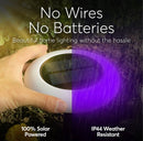 Colorize Solar Lights Color Change Ring Lights In-Ground 6 Pack