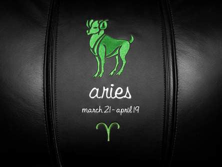 Aries Green Logo Panel