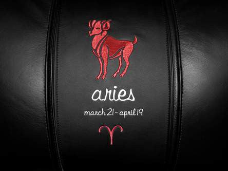 Aries Red Logo Panel