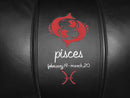 Pisces Red Logo Panel