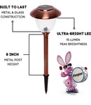 Energizer 8 Pack Solar Pathway LED Lights Outdoor-Stainless Steel 15 Lumen