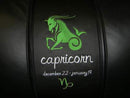 Capricorn Green Logo Panel