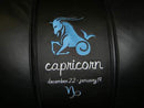 Capricorn Blue Logo Panel
