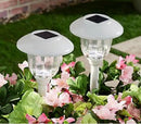 Energizer 12 Pack Solar Pathway Light Set 15-Lumen by Outdoor Solar Outlet