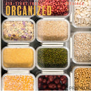 PREMIUS Plastic Food Storage Container, Rectangle, Clear-Natural