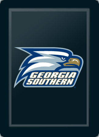 Georgia Southern Eagles Logo Panel