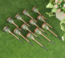 Energizer 12 Pack Solar Pathway Light Set 15-Lumen by Outdoor Solar Outlet