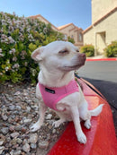 Mr. Peanut's PupTrek Soft Mesh Pet Harness with Matching Leash – Adjustable, Breathable, Choke-Free