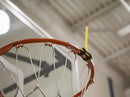 Free Throw Trainer by HoopsKing