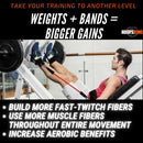 HoopsKing Vertical Jump Trainer Resistance Bands | Waist to Heels