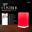FriendLi Subscription Friendship Lamp – Wi-Fi Touch Lamp with Remote Touch Subscription by Friendship Lamps | Powered by Filimin