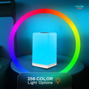 FriendLi Subscription Friendship Lamp – Wi-Fi Touch Lamp with Remote Touch Subscription by Friendship Lamps | Powered by Filimin