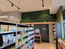 Sample Panel – Boston Ivy Green Wall (Small Sample) by Designer Plants USA