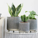 Set of 3 Plant Pots 10/8.5/7''H(Antique Silver) by JHY DESIGN