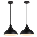 GobekUsa Industrial Loft Iron Pendant Lights for Dining Room, Cafe, Kitchen - Set of 2