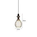 GobekUsa Iron Cage Pendant Lights for Dining Living Room Bar Cafe Restaurant Industrial Style