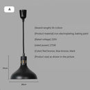 GobekUsa Electric Food Heating Pendant Light - Stylish and Functional Fixture for Kitchens and Restaurants