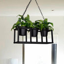 GobekUsa Black Metal Industrial Rectangle Island Light Fixture - 2/3/5 Bulbs LED Lamp with Plant Decor