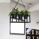GobekUsa Black Metal Industrial Rectangle Island Light Fixture - 2/3/5 Bulbs LED Lamp with Plant Decor
