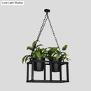 GobekUsa Black Metal Industrial Rectangle Island Light Fixture - 2/3/5 Bulbs LED Lamp with Plant Decor