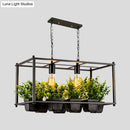 GobekUsa Industrial Metal Rectangular LED Plant Hanging Ceiling Light for Restaurants - Black 2 Heads Island Lamp