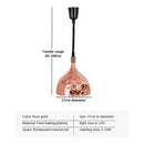 GobekUsa Electric Heat Lamp Telescopic Food Preservation Pendant Light for Restaurants