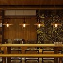 GobekUsa Metallic Shade Pendant Light with Wire Guard - Nautical Style - 2 Heads - Dark Rust Finish