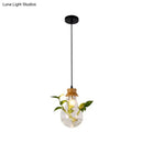 GobekUsa Industrial Clear Glass Dining Room Pendant Light Kit with Exposed Bulb and Wood Cap