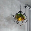 GobekUsa Industrial Greenery Chandelier for Bars and Cafes