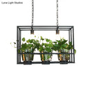 GobekUsa Industrial Iron Island Lamp with 3 Pendant Lights and Glass Plant Pot