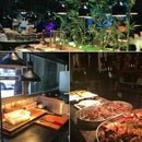 GobekUsa 275W Electric Food Heat Preservation Lamp for Kitchen Restaurant Buffet