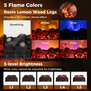 Infrared Quartz Electric Fireplace with Adjustable 3D Flame Colors and Overheat Protection-Black by LJGDeals