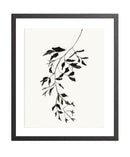 Botanical Ink Study II