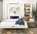 Wall Bed with Extended Sofa