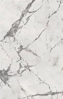 Invisible Pearl Raphael Porcelain