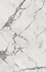 Invisible Pearl Raphael Porcelain