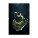 Island Eye Canvas
