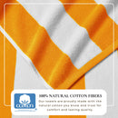 Cotton Velour Cabana Stripe Beach Towel - Novia Collection by Great Bay Home