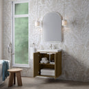James Martin Chianti 24" Single Bathroom Vanity, Walnut Whisper