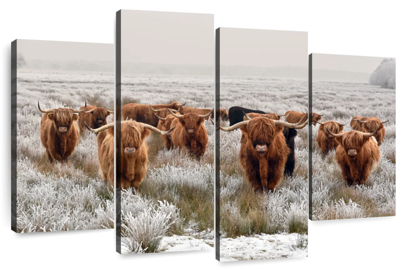 Winter Highland Cows Wall Art