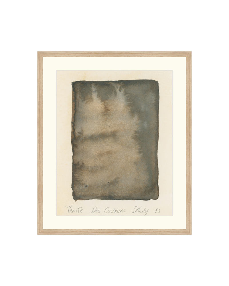 Traite des Couleurs Study 11