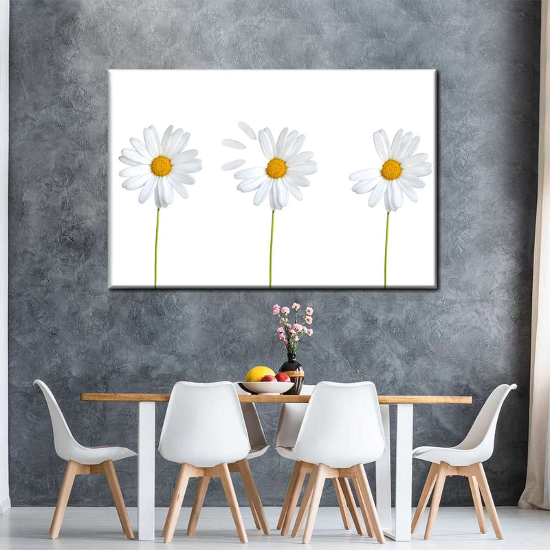 Plucked Daisies Wall Art