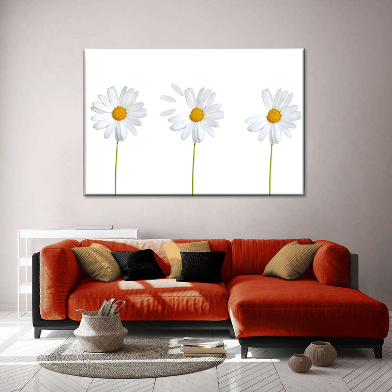 Plucked Daisies Wall Art