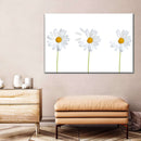 Plucked Daisies Wall Art