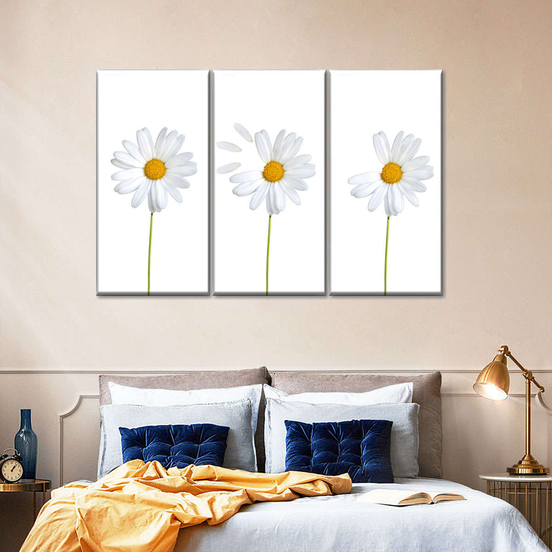 Plucked Daisies Wall Art