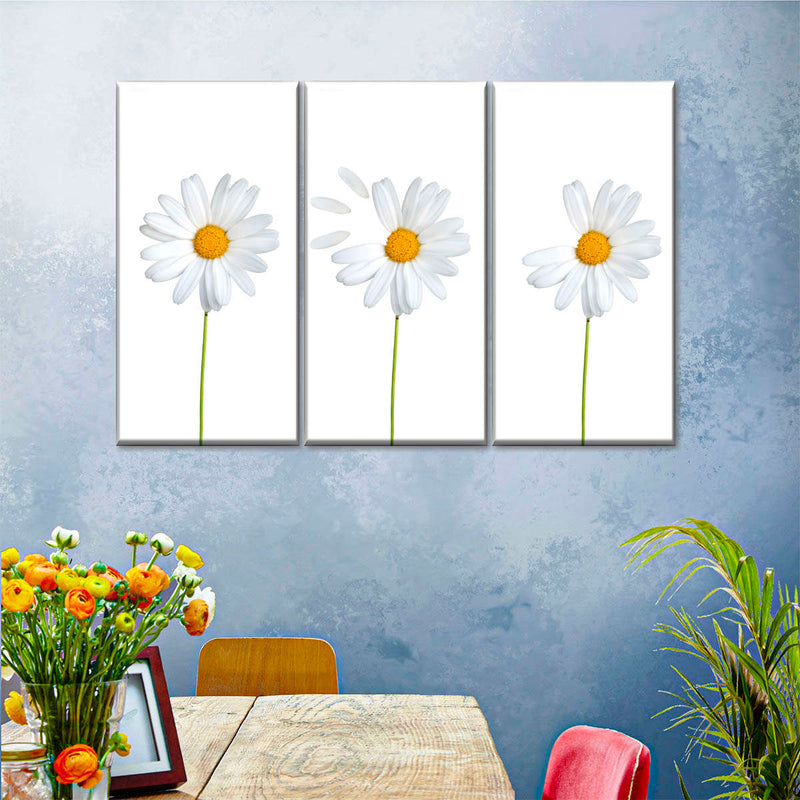 Plucked Daisies Wall Art