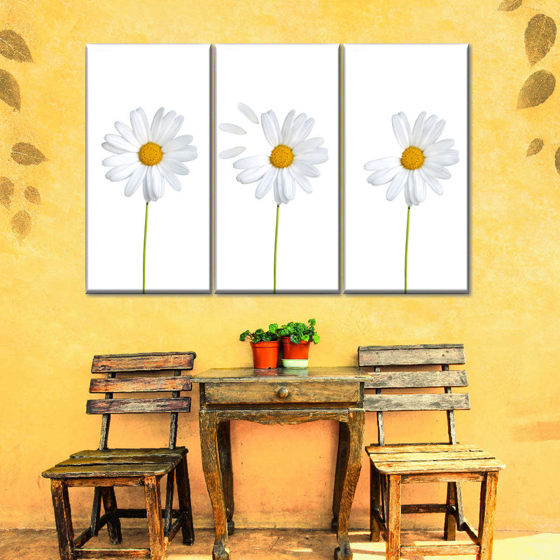 Plucked Daisies Wall Art