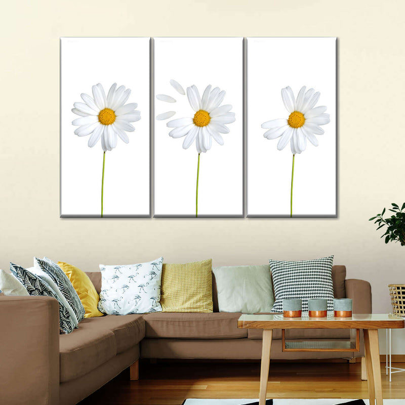 Plucked Daisies Wall Art