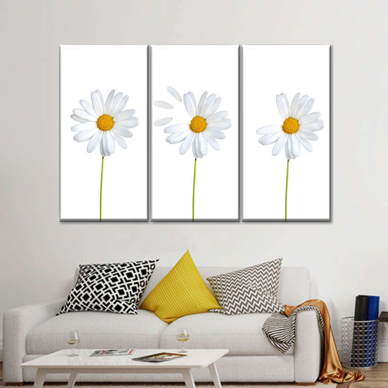 Plucked Daisies Wall Art